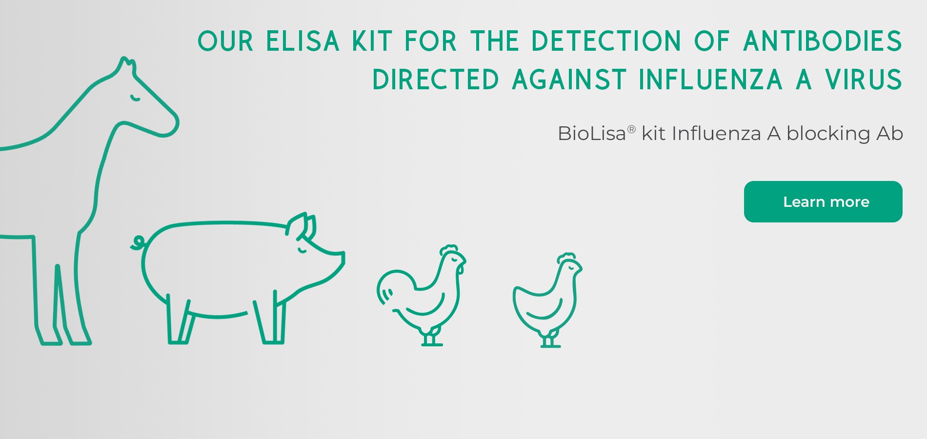 ELISA kit for the detection of antibodies directed against Influenza A virus